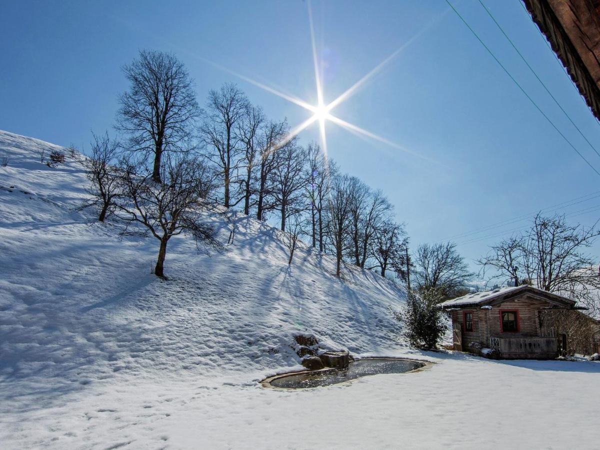 Apartment In Hopfgarten Brixental Near Ski Lift Hopfgarten im Brixental Zewnętrze zdjęcie